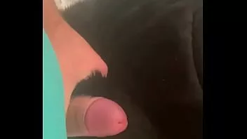 Jouer 21 aventures de milfycalla ep 21 une chienne a été piégée